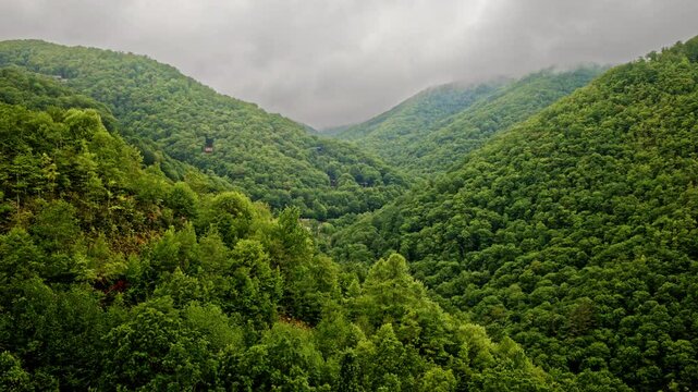 Shifting fog cloaks the Smokies in this aerial masterpiece