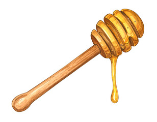 Honey Dipper Illustration
