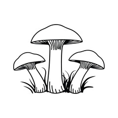 Three stylized mushrooms with gills and grass fungi