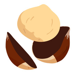popping chestnut, chestnuts, nuts, nut, chestnut vector, chestnut illustration
