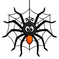 spider on a white background