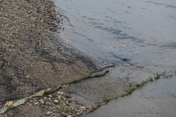Rhine_026