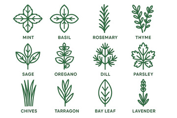 Illustrated collection of fresh culinary herb icons featuring mint, basil, and more