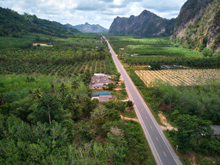 Aerial view of the asphalt road along the tropical forest in countryside