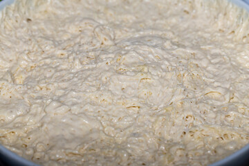 Masa de pan en proceso de fermentación dentro de un bol. / Bread dough fermenting inside a bowl.