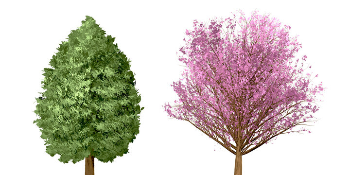 Two stylized trees in contrasting colors