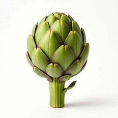 Artichoke isolated on white background, fresh edible bud with detailed texture. Use for packaging, cookbooks, diet blogs and healthy food advertising.