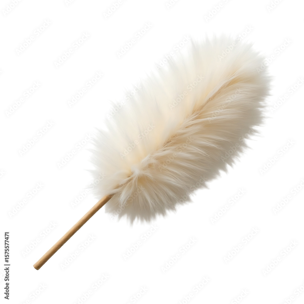 Aufkleber feather duster isolated on an empty plain background