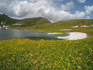 A clearing with buttercups by a glacial lake