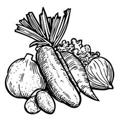 Vegetables illustration with carrots, onions, and potatoes, vector icons in sketch food and drinks