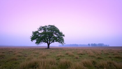 Obraz premium Tranquil lone tree landscape