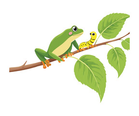 Cute Green Frog and Caterpillar on Branch
