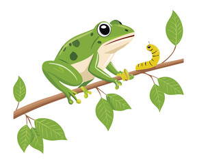 Frog Watching Caterpillar on Leafy Branch