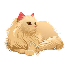 Cream Persian Cat Lying with Curled Tail