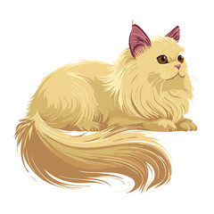 Cream Persian Cat Relaxing Lying Down