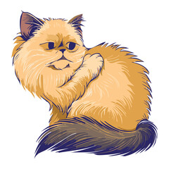 Light Brown Fluffy Cat Lying Down Illustration