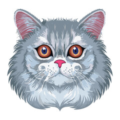 Silver Persian Cat Portrait with Orange Eyes