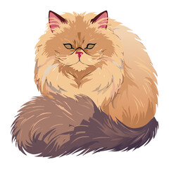 Full Frontal Fluffy Orange Persian Cat Illustration