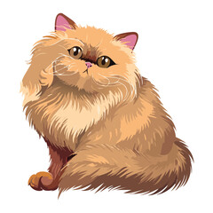 Sitting Fluffy Orange Persian Cat with Whiskers