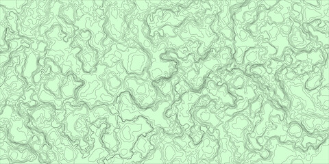 A Silent Terrain Built on Movement and Pattern

