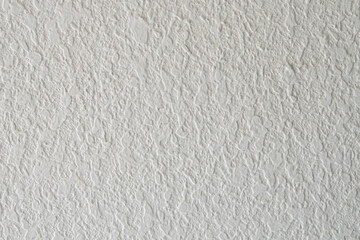 Textured White Plaster Surface