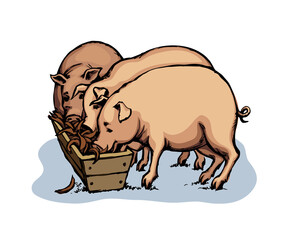 Vector drawing. Pigs eating rhe food