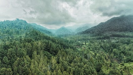 Beautiful landscape of green nature in foot of mountain and hill with blue sky background