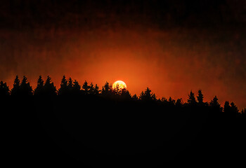 The Buck Moon