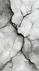 Cracked surface revealing texture and patterns in monochrome tones during daylight hours