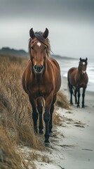 Horses strolling along the sandy beach under a moody sky near the ocean's edge in a coastal setting