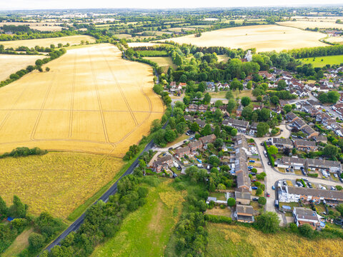 Aerial view of the edge of a typical English village in rural Essex. Large arable fields, full of ripe wheat can be seen on the left during a hot dry summer in Britain.