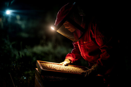 Close-up night scene of person wearing red headlamp inspecting honeycomb frame from beehive, subtle glow on suit and bees