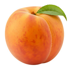 Juicy Peach: A Vibrant Summer Fruit