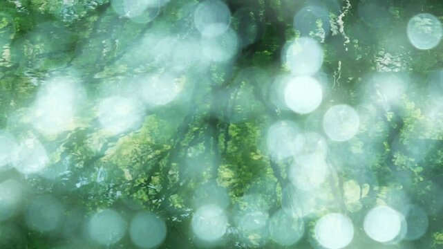 夏の森　強い太陽の日差しを受けてキラキラ光る湧き水・池の表面・波の模様と輝く光のボケ　暑い・猛暑・涼しい・夏休み・水遊び・バカンスの背景・避暑地・水源