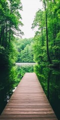 Obraz premium A serene wooden dock extends over calm water, surrounded by lush green trees reflecting in the peaceful forest pond.