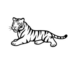 tiger vector illustration