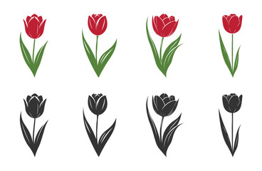 Tulip Flower. Beautiful Realistic Tulip Tube For Spring Vibe To Express Love and Beauty Of Spring. Vector Silhouette.