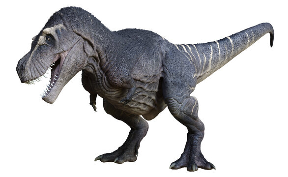 3D rendered Tyrannosaurus - 3D Illustration