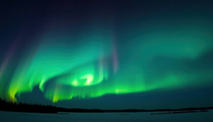 Naklejka premium Wavy aurora borealis over snowy landscape at night