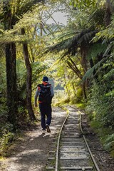 A hiker with a backpack walks along an old railway track through a lush forest in New Zealand. The person is exploring the natural beauty and history of the area. Karangahake Gorge, NZ