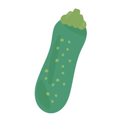 ズッキーニ　イラスト