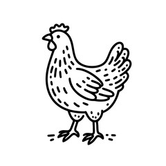 Elegant Line Art Chicken Illustration