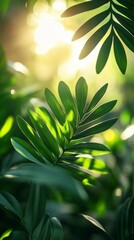 Green Leaves Close-up with Sunlight Streaming Through Foliage