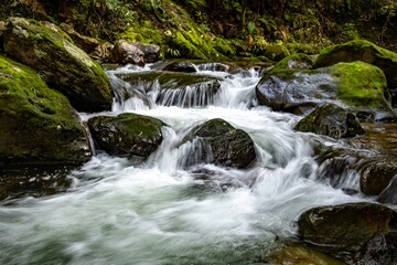 A scenic view of a stream cascading over moss-covered rocks in a lush forest. The water flows...