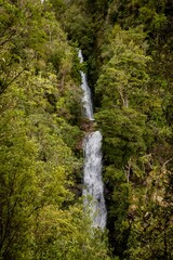 Waterfall cascading down a lush, green hillside in Whangamata, New Zealand. The water flows...