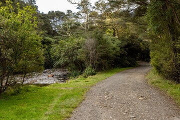 A gravel path winds through lush green forest alongside a rocky stream in New Zealand. The path...