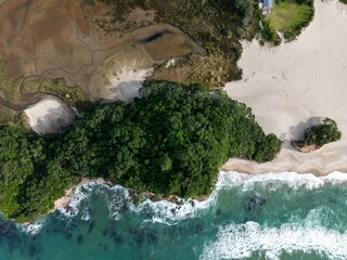 Aerial view of a New Zealand coastline. Lush green forest meets the sandy beach and turquoise...