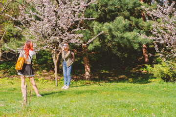 Fototapeta premium Two young women enjoying cherry blossom season in park with blooming sakura trees, one taking photos while other walks with yellow bag on sunny spring day outdoors