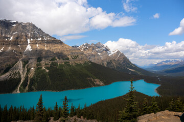alpine lake in the mountains peyto lake, canada, alberta