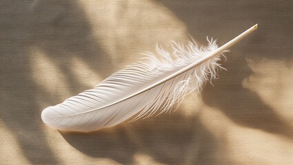 Feather Close-Up on Canvas with Soft Shadows background